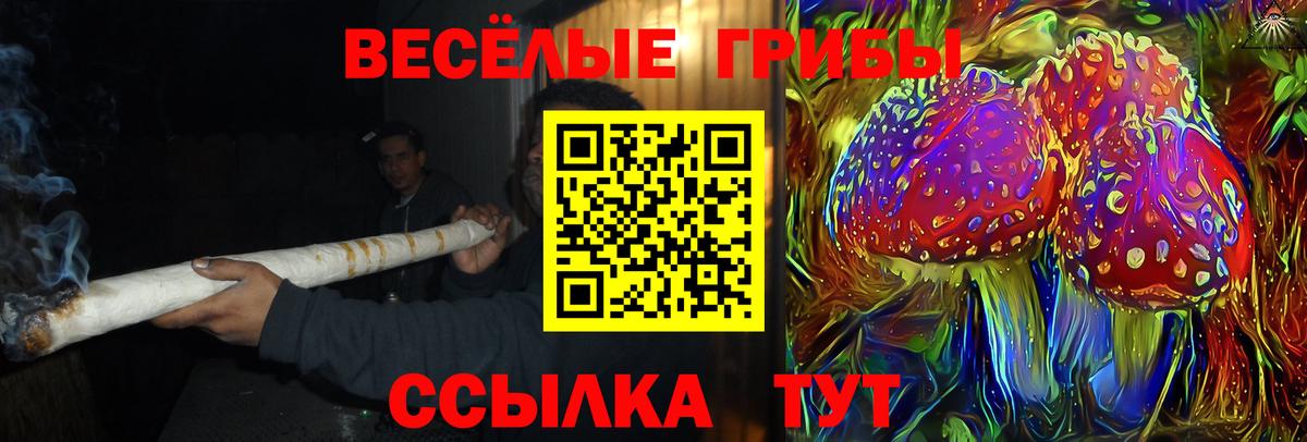 Псилоцибиновые грибы Psilocybe  где найти наркотики  Воткинск  Галлюциногенные грибы прущие грибы  Вход с VPN 